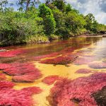 پنجره دوجداره شاهرود