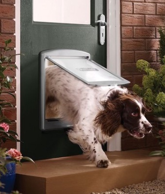 درب عبور حیوانات خانگی