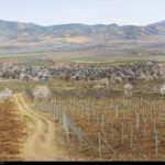 پنجره دوجداره شبستر