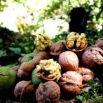 پنجره دوجداره تویسرکان گردو